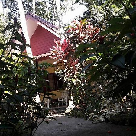 Khao Sok Holiday Resort Khao Sok National Park Dış mekan fotoğraf