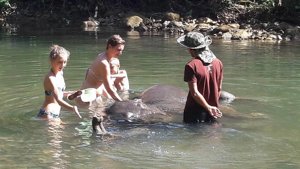 Khao Sok Holiday Resort Khao Sok National Park Dış mekan fotoğraf